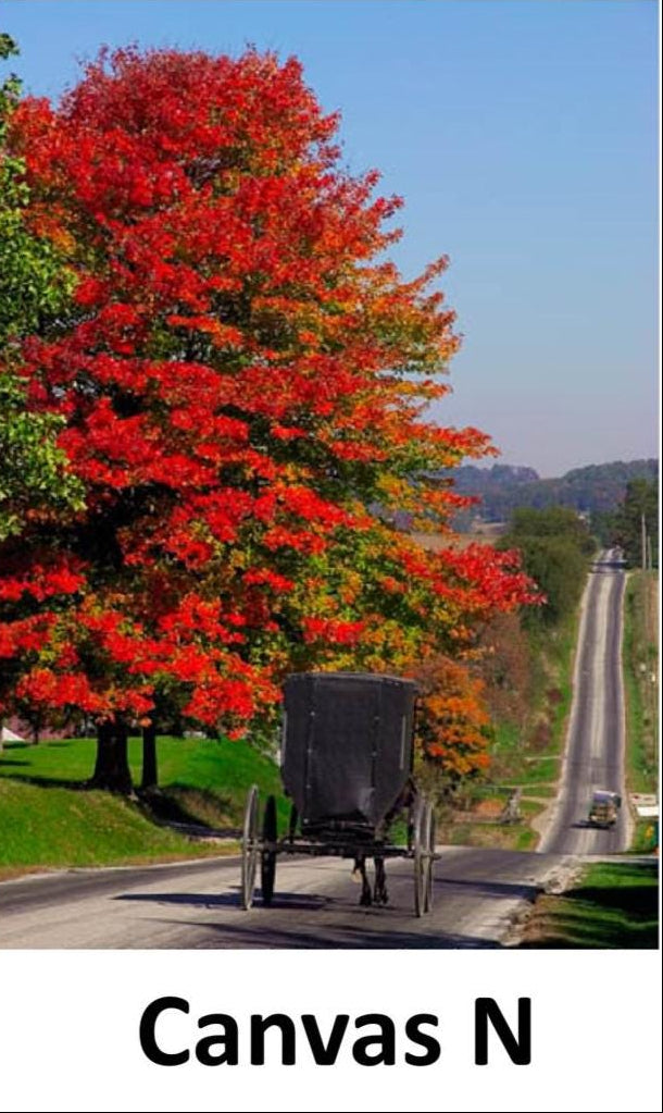 Canvas - Picture Frame - Wall Art - Wooden Frame - Framed Antique Print - Amish Handmade - Farmhouse Decor - Housewarming Gift -Choose Color