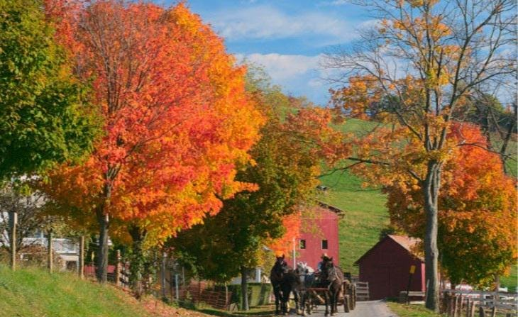 Canvas - Picture Frame - Wall Art - Wooden Frame - Framed Antique Print - Amish Handmade - Farmhouse Decor - Housewarming Gift -Choose Color