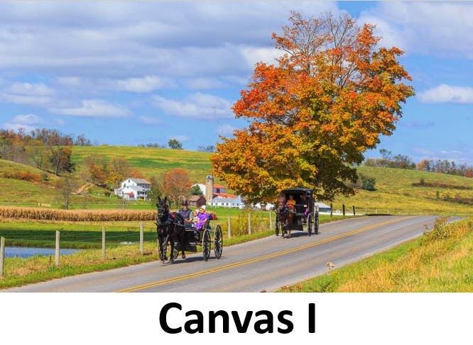 Canvas - Picture Frame - Wall Art - Wooden Frame - Framed Antique Print - Amish Handmade - Farmhouse Decor - Housewarming Gift -Choose Color