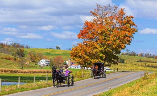 Canvas - Picture Frame - Wall Art - Wooden Frame - Framed Antique Print - Amish Handmade - Farmhouse Decor - Housewarming Gift -Choose Color