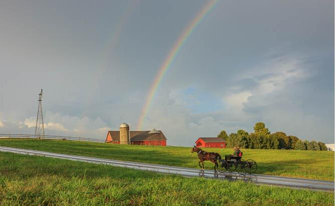 Canvas - Picture Frame - Wall Art - Wooden Frame - Framed Antique Print - Amish Handmade - Farmhouse Decor - Housewarming Gift -Choose Color