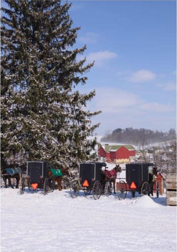 Canvas - Picture Frame - Wall Art - Wooden Frame - Framed Antique Print - Amish Handmade - Farmhouse Decor - Housewarming Gift -Choose Color