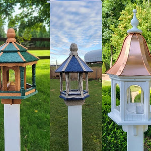 Bird Feeders