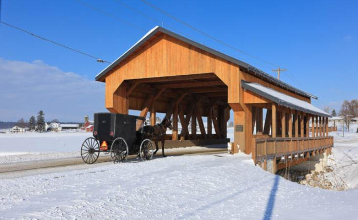 Canvas - Picture Frame - Wall Art - Wooden Frame - Framed Antique Print - Amish Handmade - Farmhouse Decor - Housewarming Gift -Choose Color