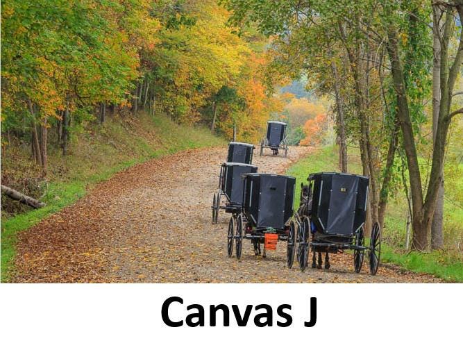 Canvas - Picture Frame - Wall Art - Wooden Frame - Framed Antique Print - Amish Handmade - Farmhouse Decor - Housewarming Gift -Choose Color