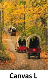 Canvas - Picture Frame - Wall Art - Wooden Frame - Framed Antique Print - Amish Handmade - Farmhouse Decor - Housewarming Gift -Choose Color