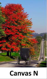 Canvas - Picture Frame - Wall Art - Wooden Frame - Framed Antique Print - Amish Handmade - Farmhouse Decor - Housewarming Gift -Choose Color