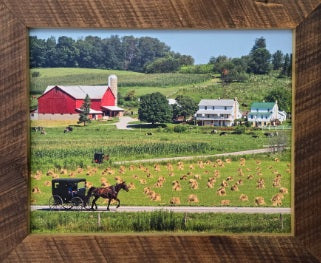 Canvas - Choose Your Color - Wall Art - Wooden Frame - Framed Antique Print - Amish Handmade - Farmhouse Decor - Housewarming Gift - 