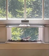 Load image into Gallery viewer, Amish Handmade Window Bird Feeder, In-House In Window 180 Degrees Clear View Window Feeder - Watch Birds From The Comfort of Home, Easy-fill
