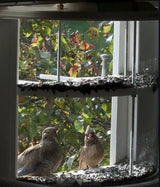 Duplex Window Feeder - 