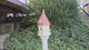 3 Hole Bird House With Copper Roof Amish Handmade, Nesting Compartments, Weather Resistant Birdhouses, Bird Lovers, Poly