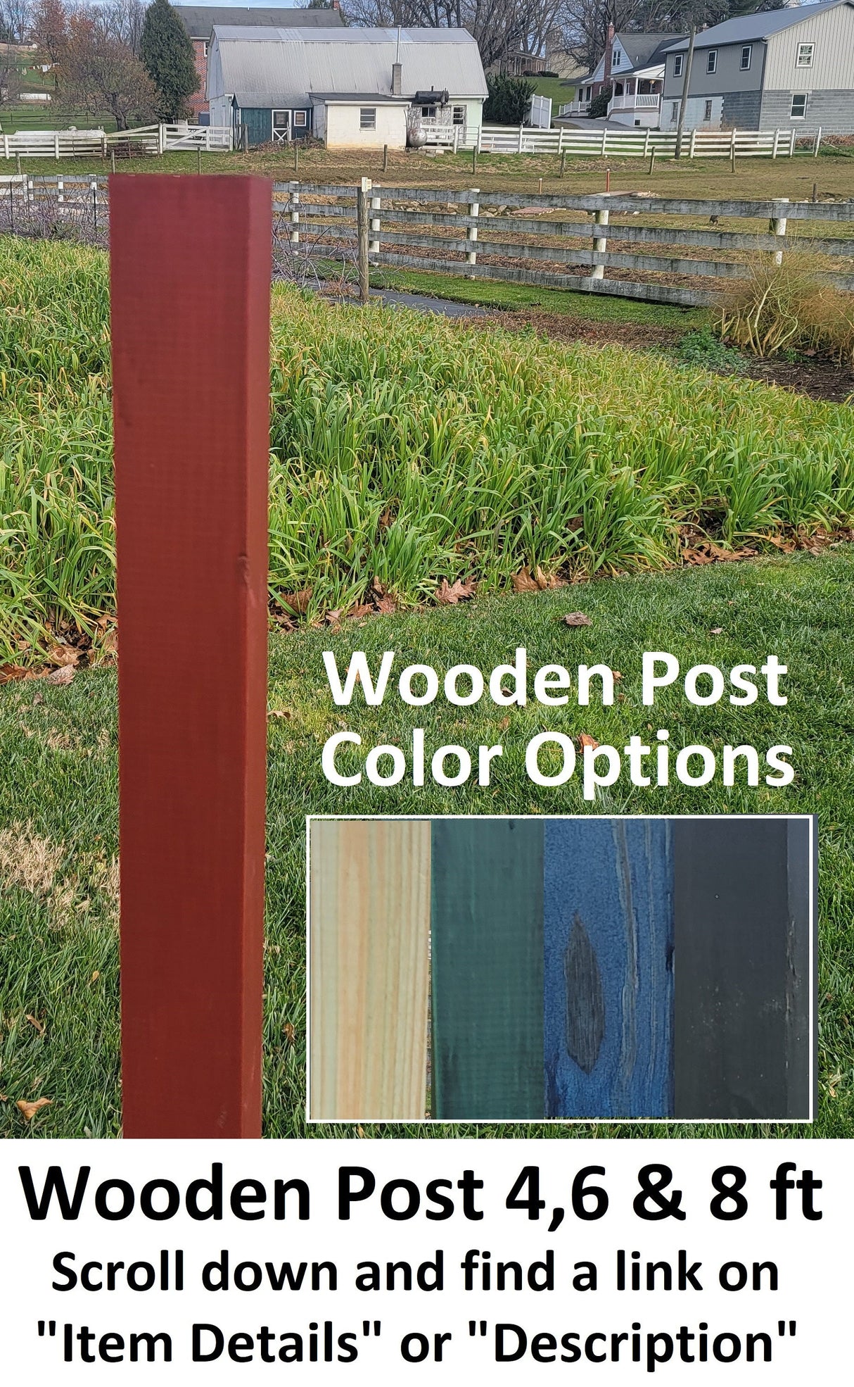 Bird Feeder - Poly Lumber - Amish Handmade - Weather Resistant - Premium Feeding Tube - Easy Mounting on 4&quot;x4&quot; Post - Home & Living:Outdoor & Gardening:Feeders & Birdhouses:Bird Feeders