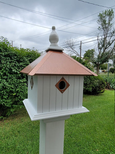 Bird House - 2 Nesting Compartments - Handmade - Metal Predator Guards - Weather Resistant - Pole Not Included - Birdhouse Outdoor - Home & Living:Outdoor & Gardening:Feeders & Birdhouses:Birdhouses