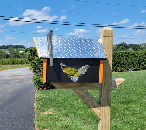 Amish Mailbox Kit of Handmade Poly Mailbox and Poly Post With Birds Design