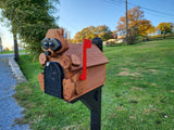 Pine Amish Mailbox Raccoon Design With Metal Insert USPS Approved Mailbox Outdoor - Animal Shape + Cabins