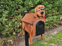 Load image into Gallery viewer, Dog mailbox, bear mailbox racoon mailbox, Farm animal mailbox, animal mailbox, Pet mailbox, Pet lover gift, Forest animal mailbox, unusual mailbox, farm mailbox, yard art,
